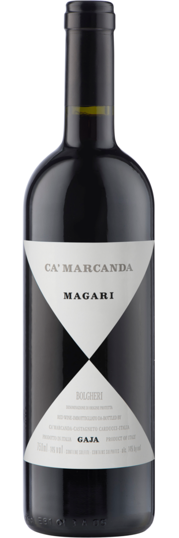 Gaja Camarcanda Magari