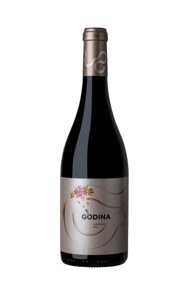 Godina