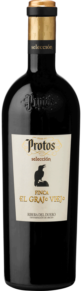 Protos El Grajo Viejo