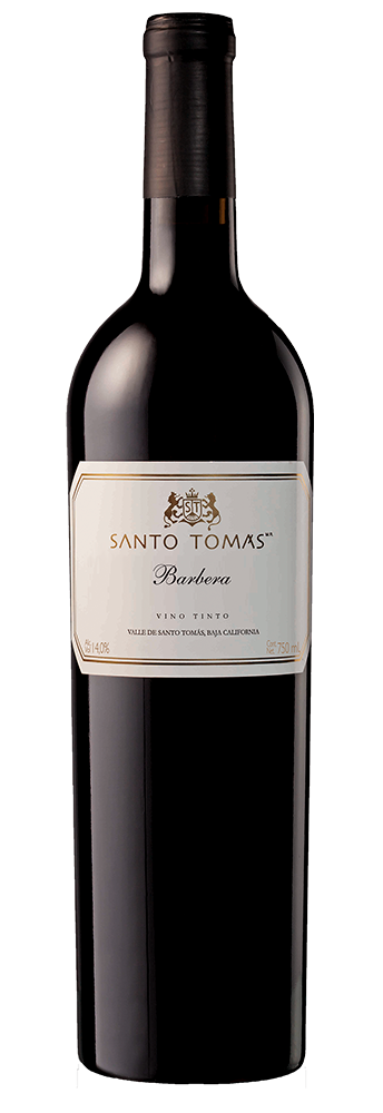 Santo Tómas Barbera